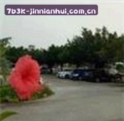 李姐